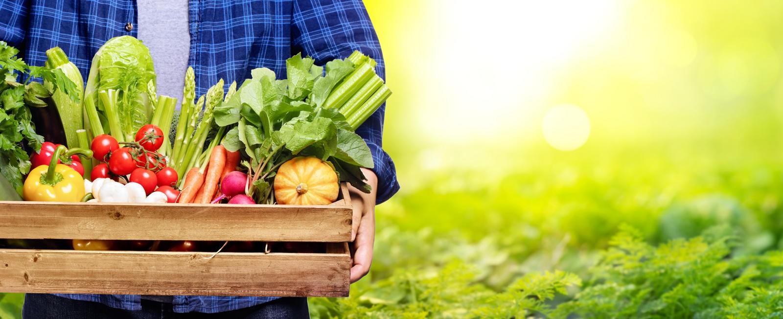 今も昔も
料理のプロが使う野菜は
なぜか必ず紀ノ国屋。